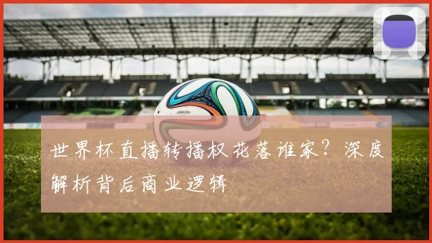 世界杯直播转播权花落谁家？深度解析背后商业逻辑