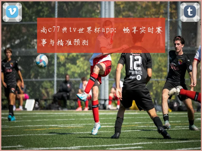 尚c77典tv世界杯app:畅享实时赛事与精准预测