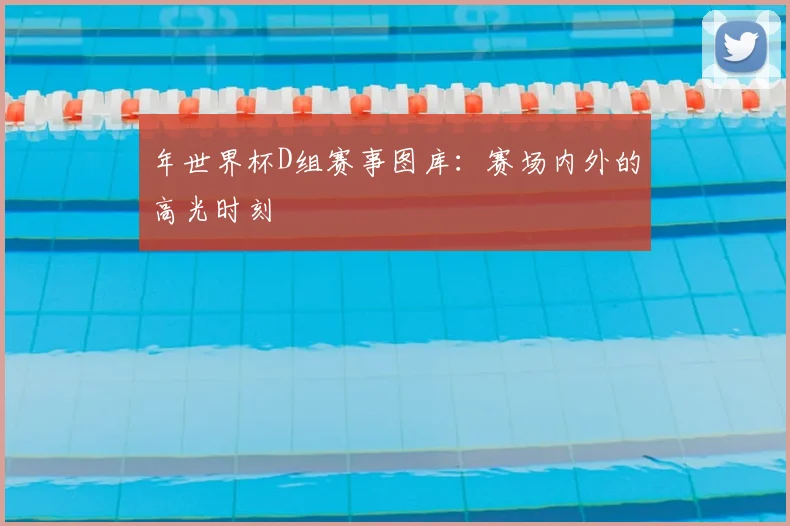 年世界杯D组赛事图库：赛场内外的高光时刻