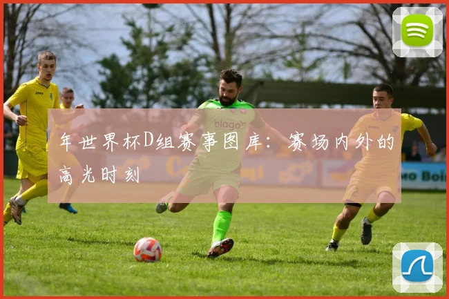 年世界杯D组赛事图库：赛场内外的高光时刻