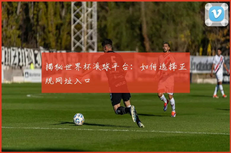 揭秘世界杯滚球平台：如何选择正规网址入口