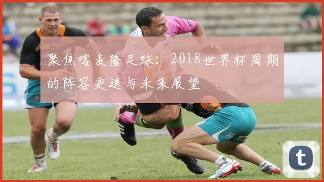 聚焦喀麦隆足球:2018世界杯周期的阵容更迭与未来展望