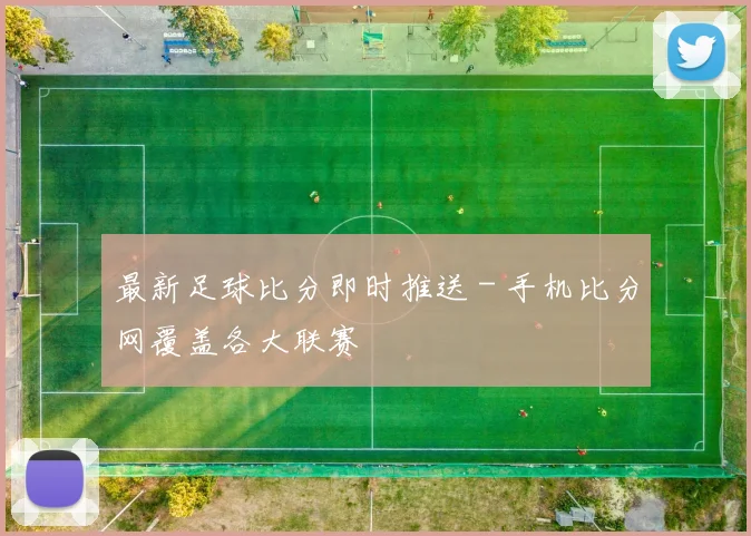 最新足球比分即时推送 - 手机比分网覆盖各大联赛